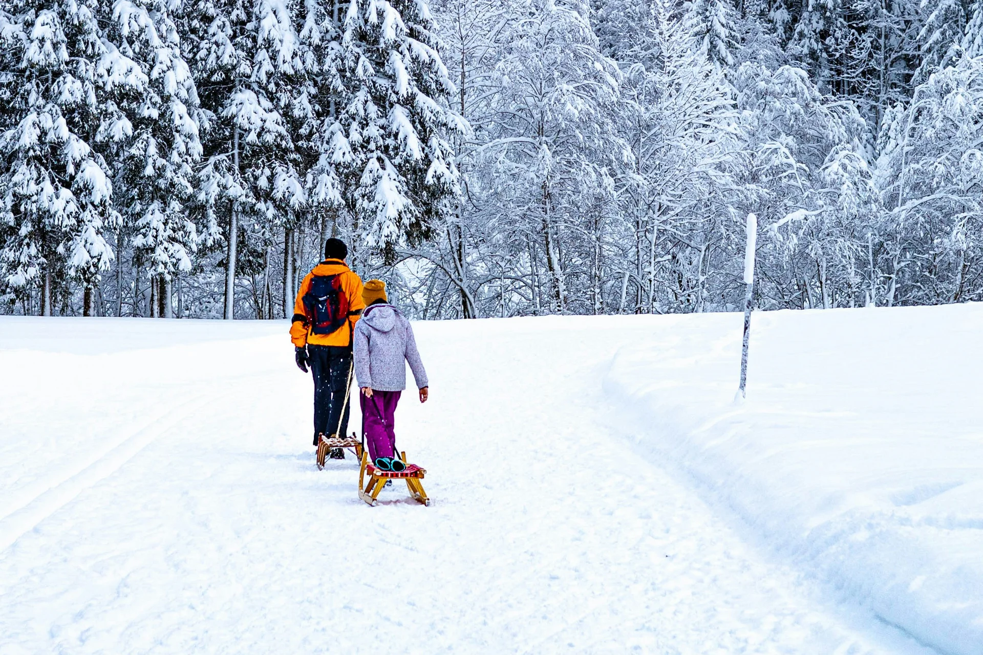 Zwei Personen mit Schlitten in einem verschneiten Wald