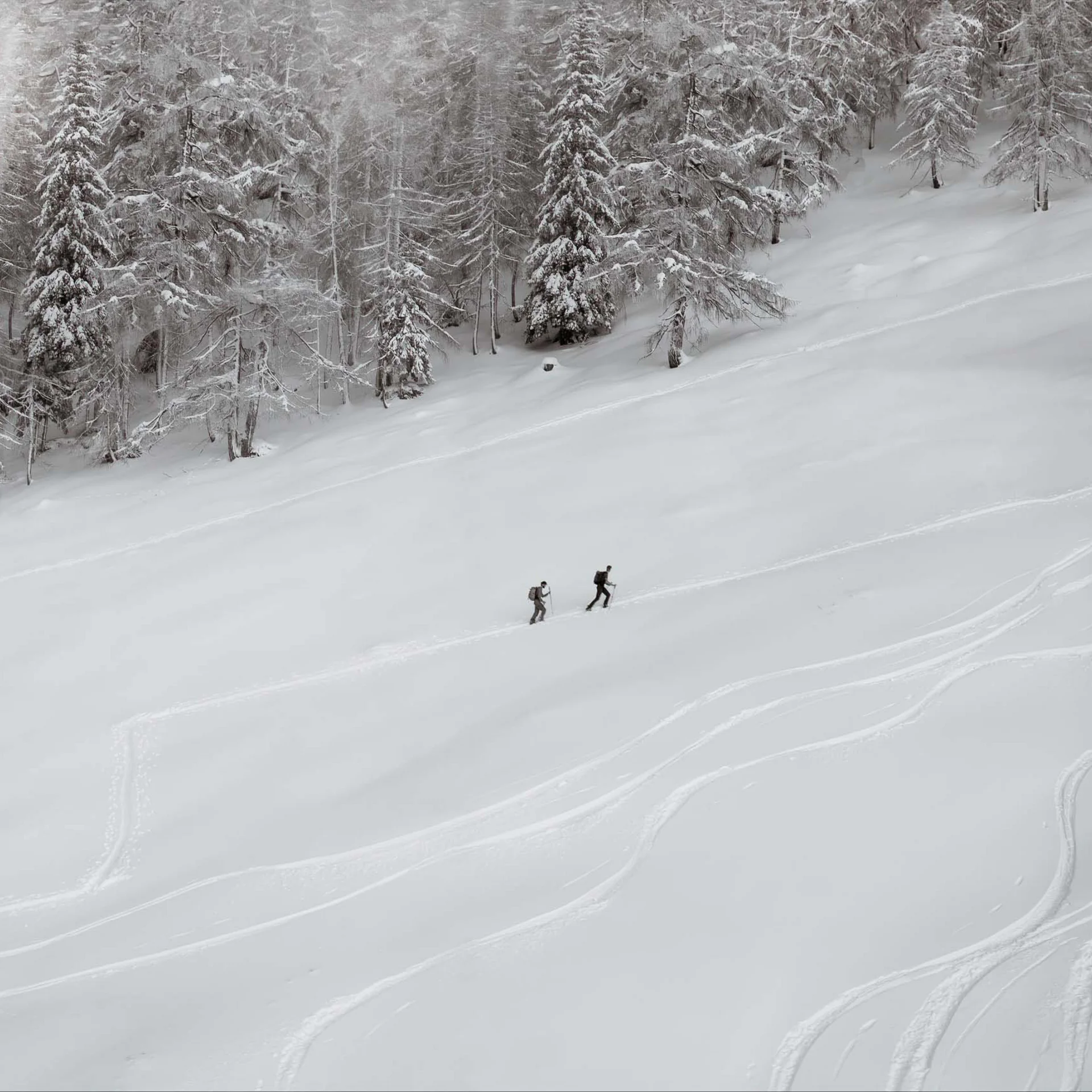 Zwei Skifahrer wandern durch verschneiten Wald und Spur im Schnee