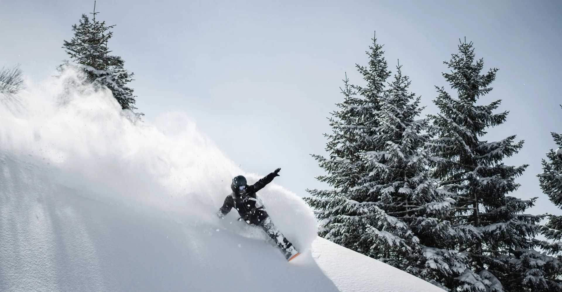 Snowboarder fährt durch frischen Tiefschnee neben verschneiten Tannen