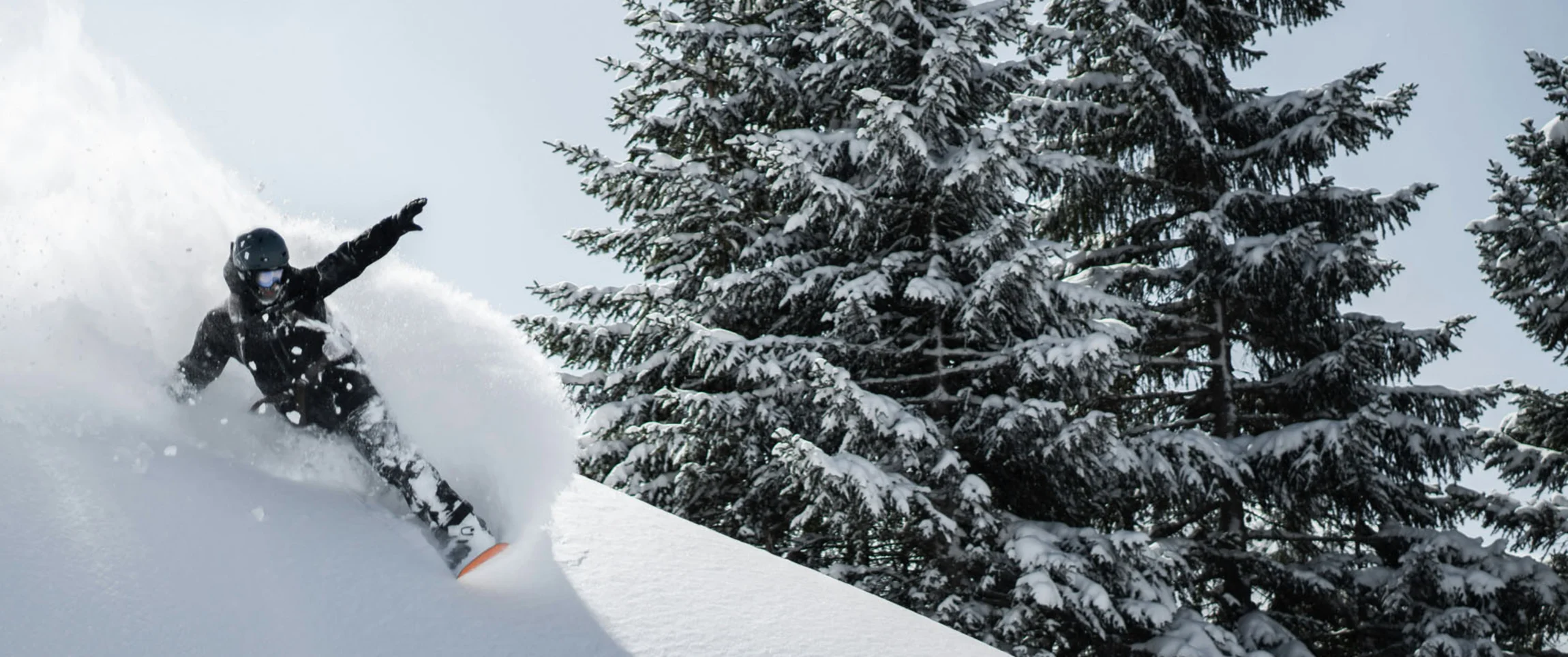 Snowboarder fährt durch frischen Tiefschnee neben verschneiten Tannen