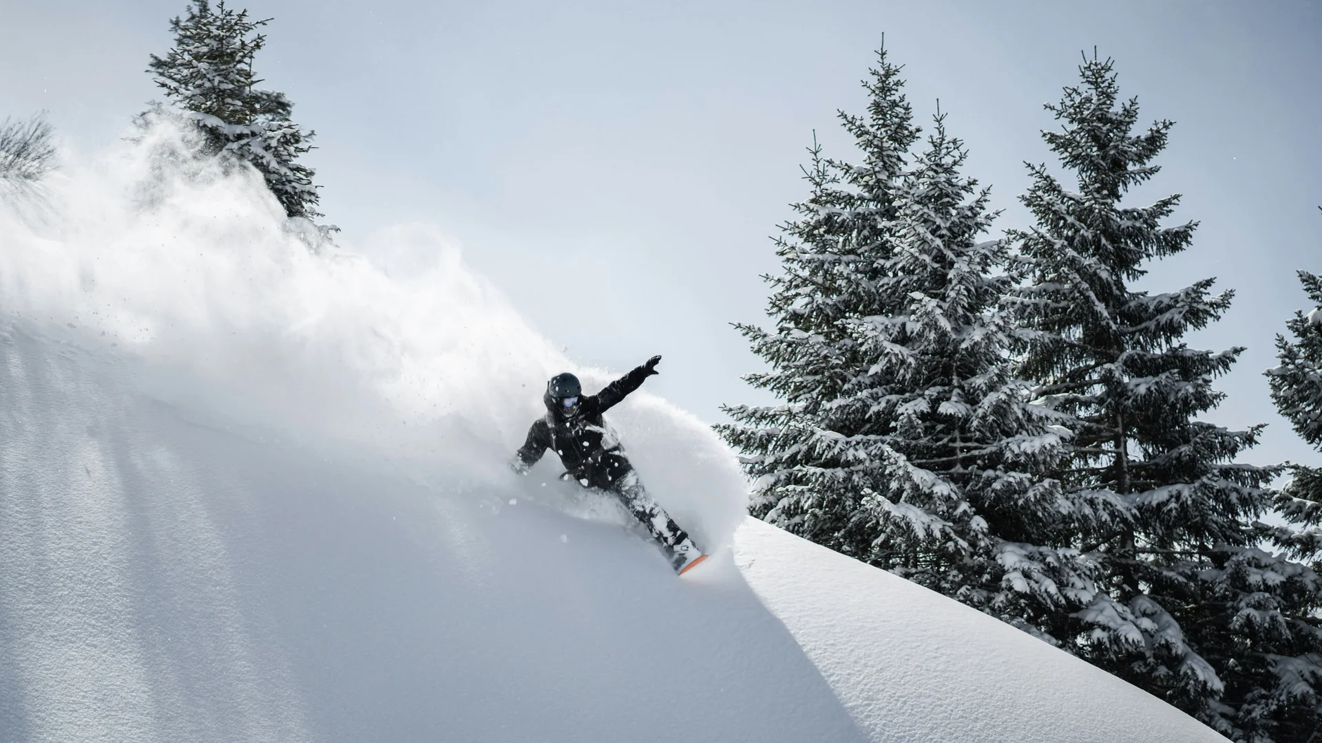 Snowboarder fährt durch frischen Tiefschnee neben verschneiten Tannen