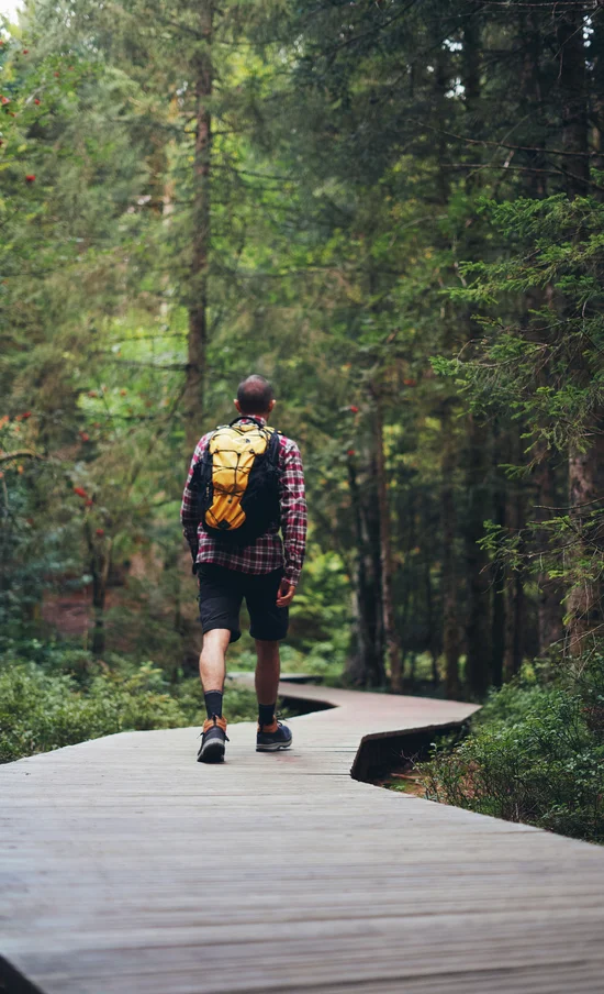 Die Adresse für Wellness in Bayern: Ihr Hotel in St. Englmar Mann mit gelbem Rucksack wandert auf Holzweg durch grünen Wald