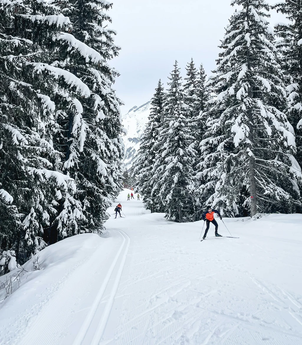 Langläufer fahren durch schneebedeckten Wald im Winter