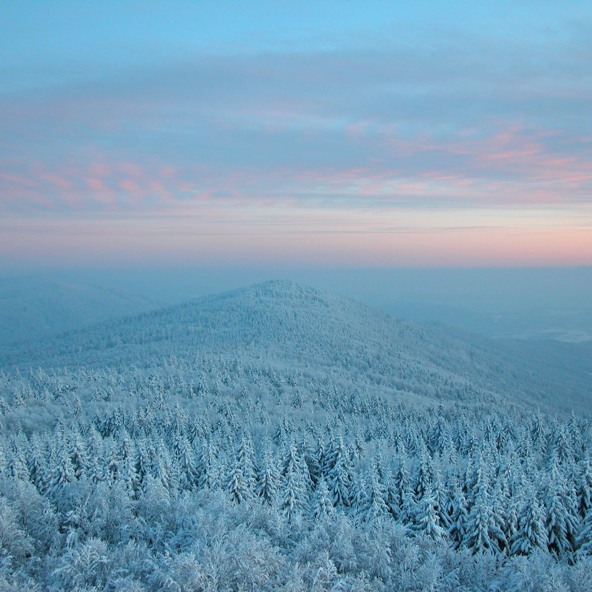Schneebedeckte Bäume auf einem Berg unter blau-pinkem Himmel bei Sonnenuntergang