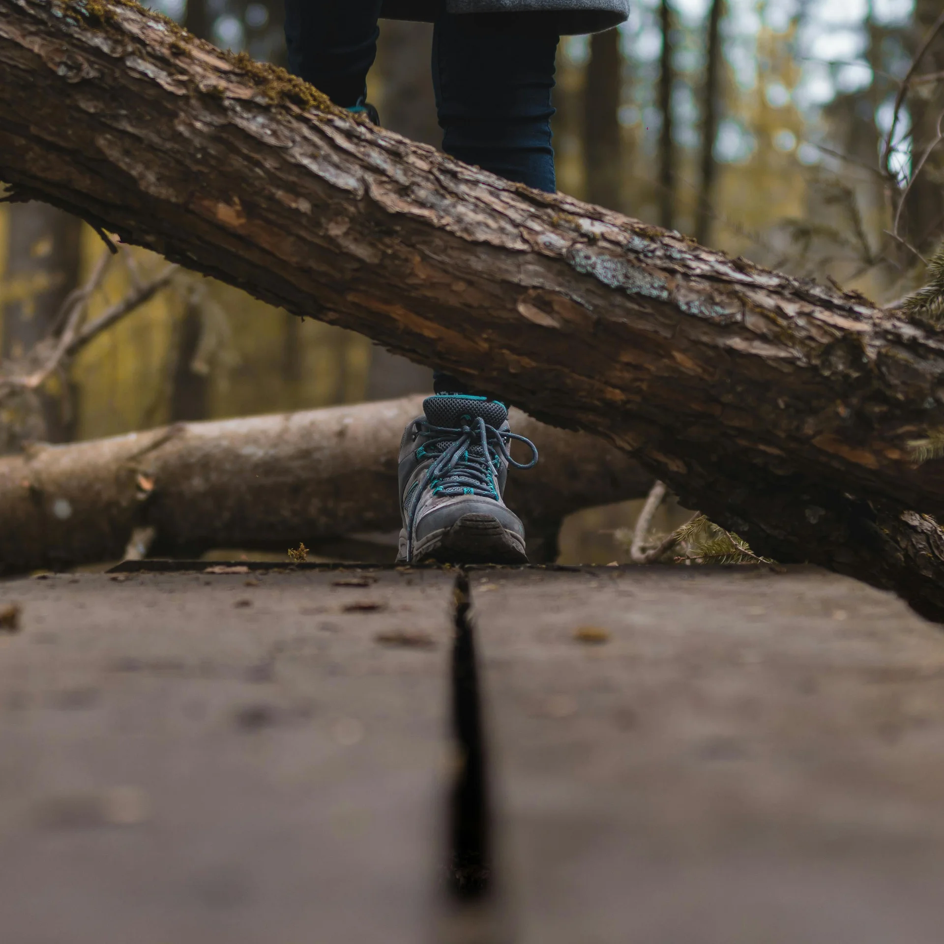 Beine und Schuhe einer Person, die auf einem Baumstamm im Wald balanciert