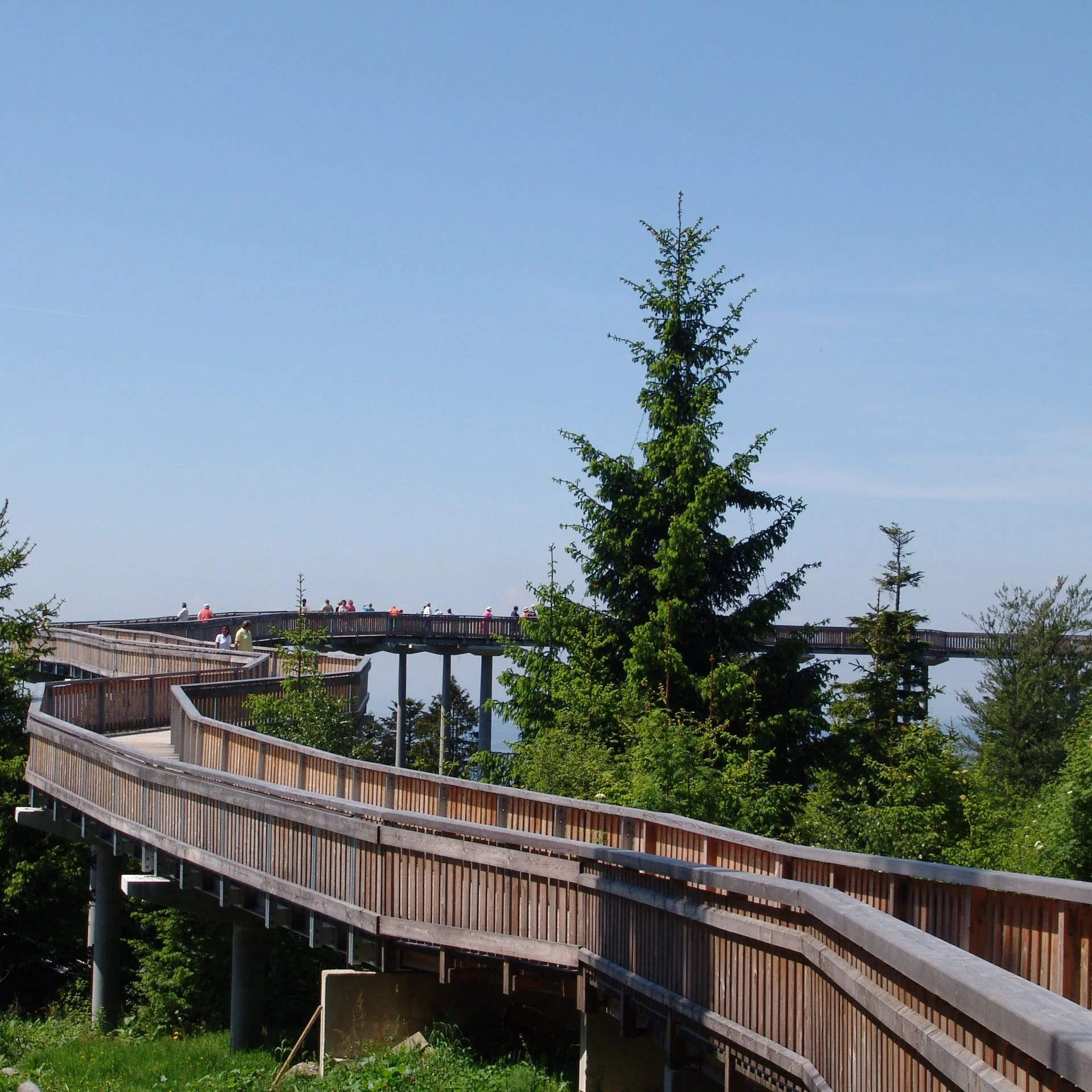 Holzsteg auf Stelzen über Bäumen mit Menschen an einem sonnigen Tag