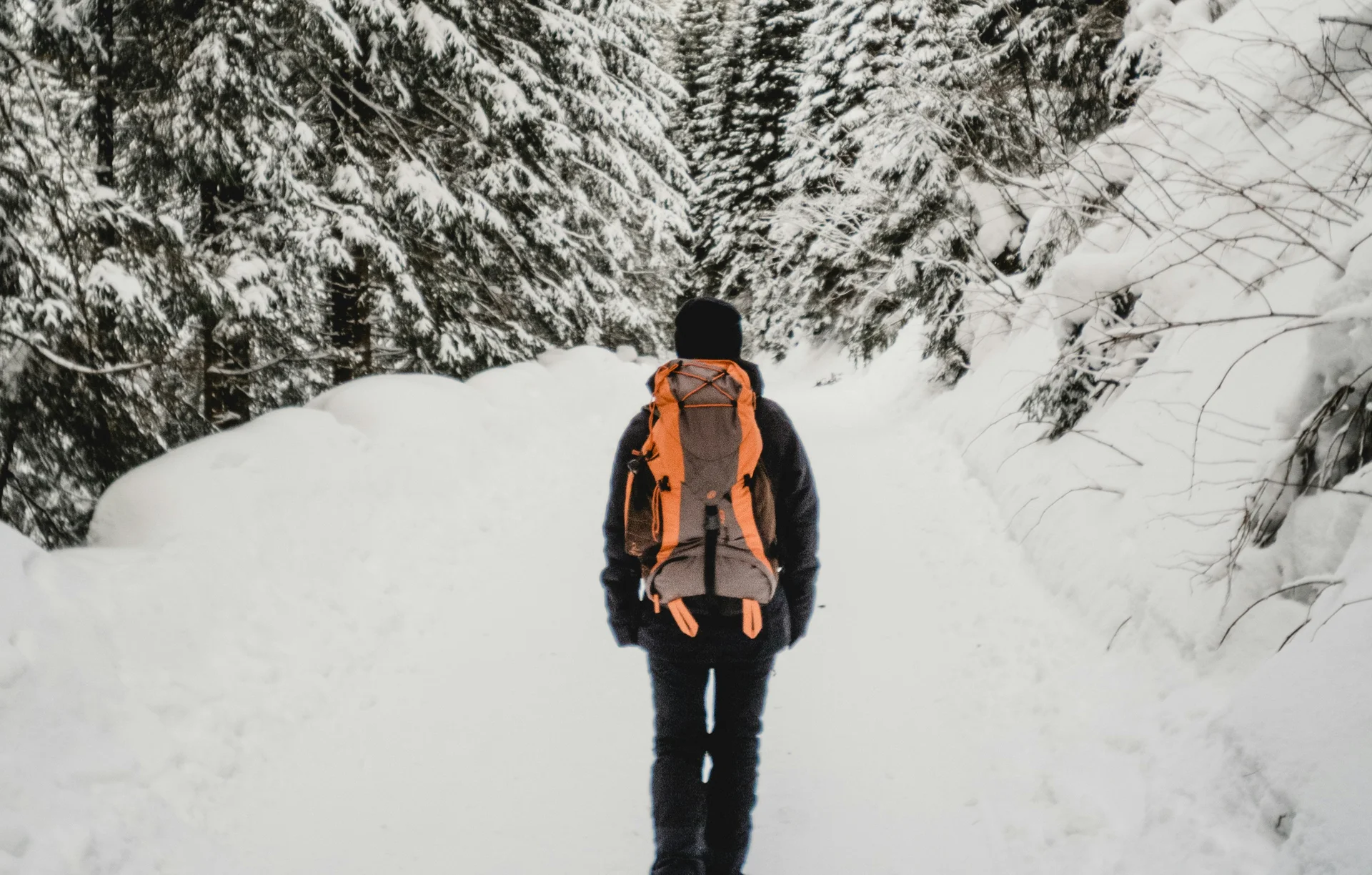 Wanderer mit orangefarbenem Rucksack im verschneiten Wald