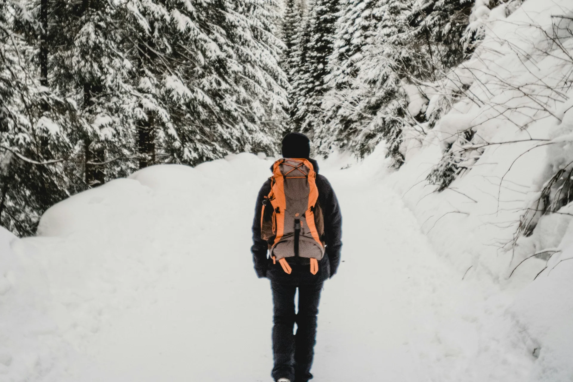 Wanderer mit orangefarbenem Rucksack im verschneiten Wald