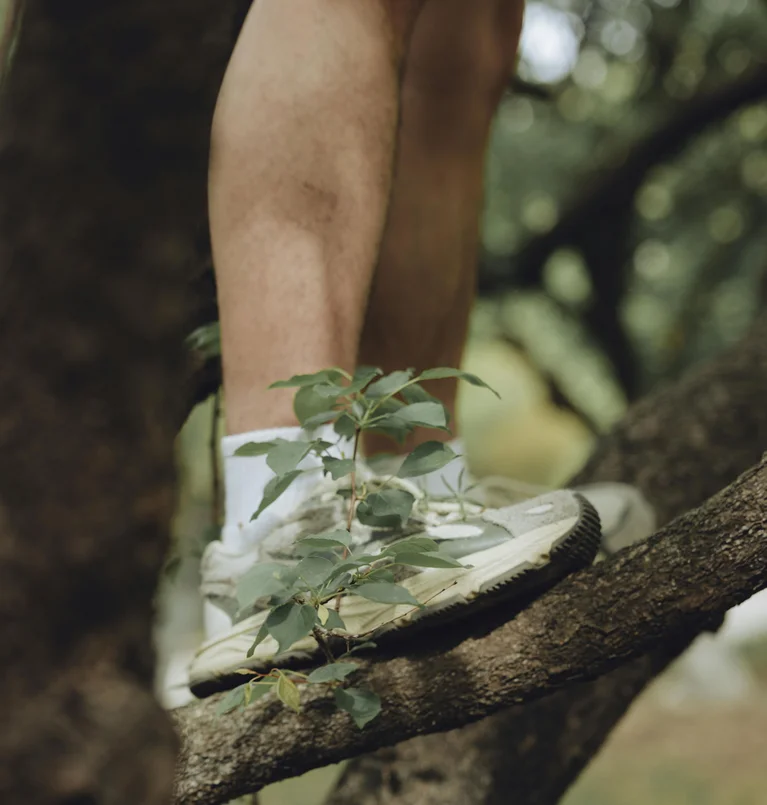 Bein und Schuh auf Baumast im Wald