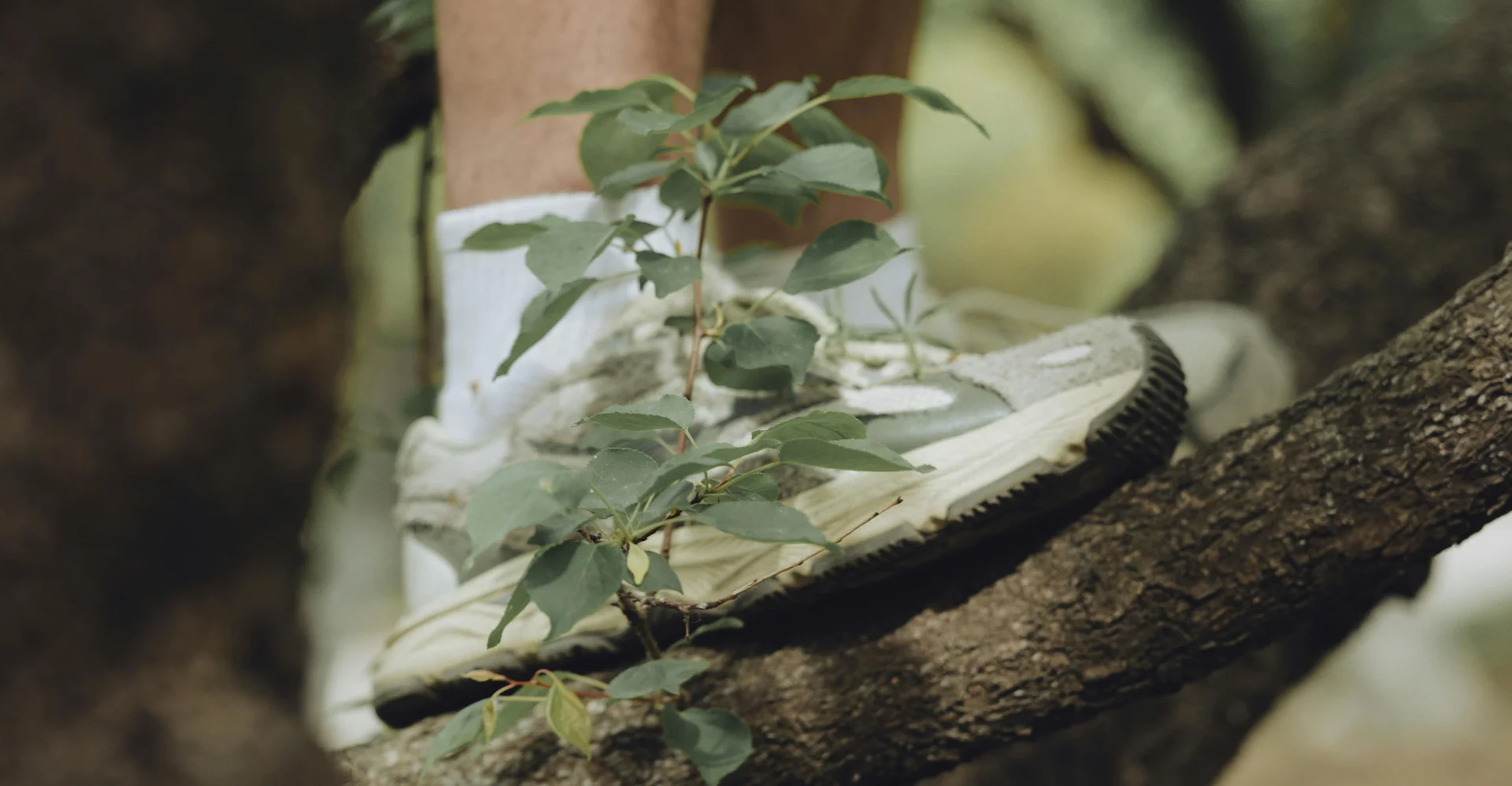Bein und Schuh auf Baumast im Wald