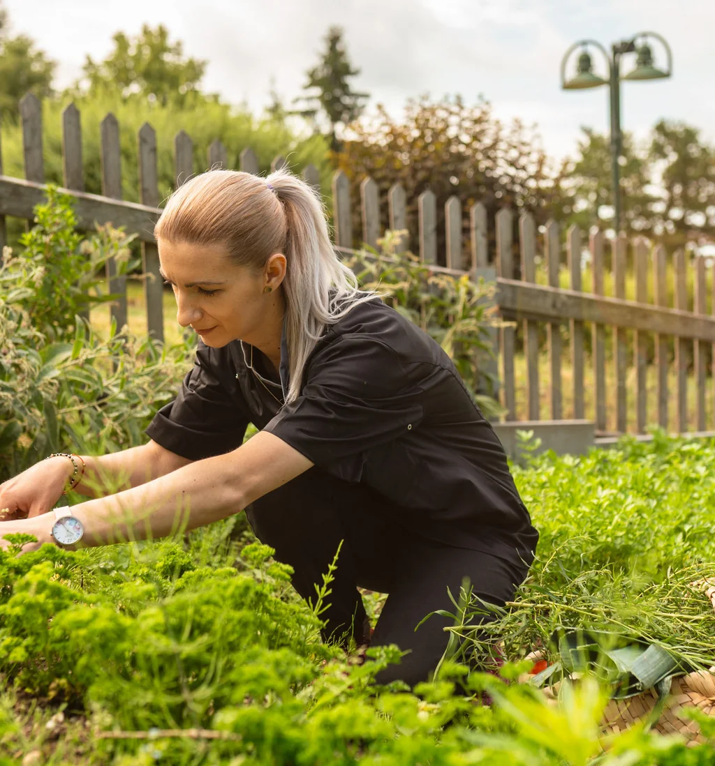 Frau erntet Kräuter in einem Garten vor einem Holzzaun