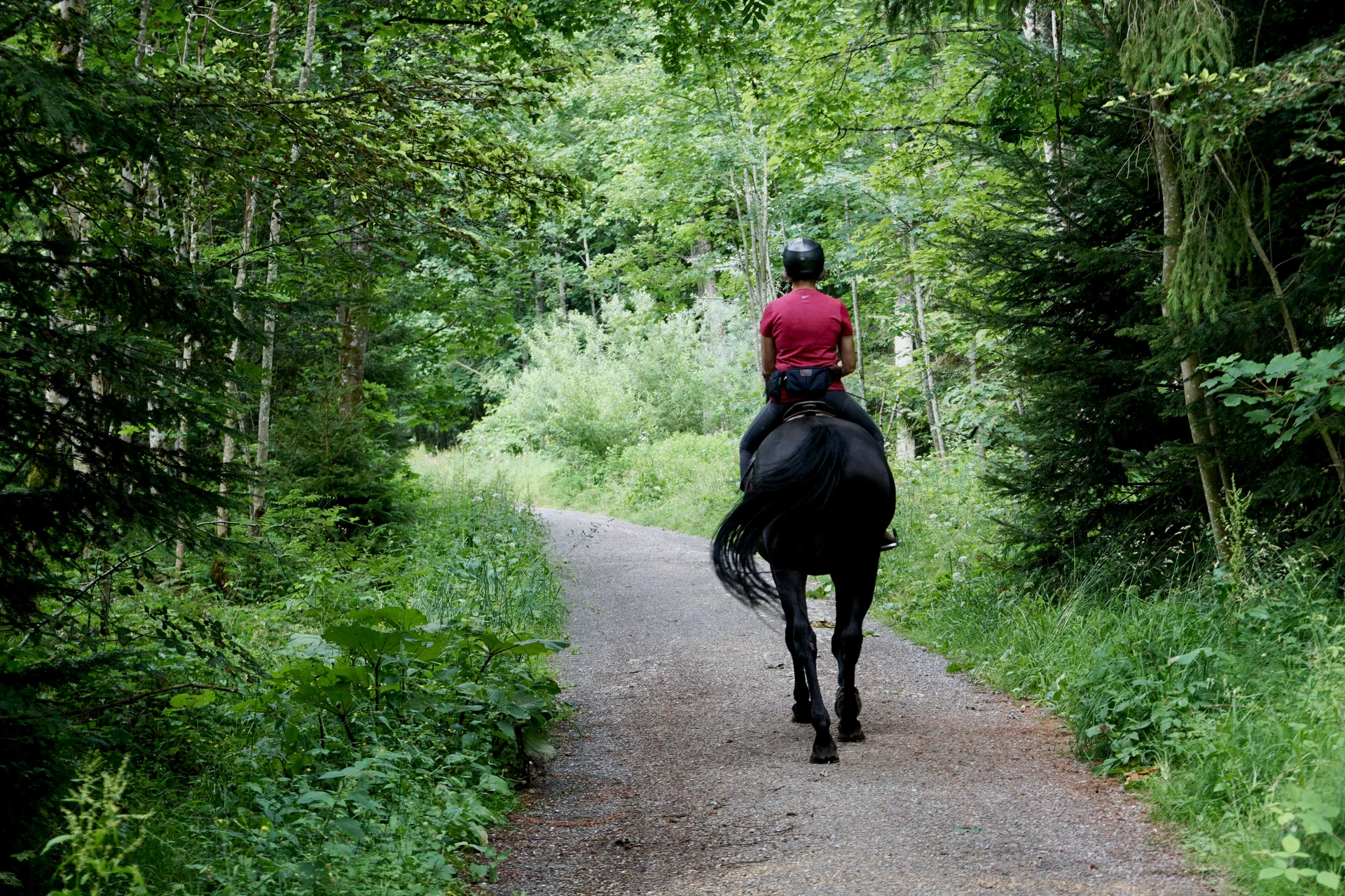Reiter auf schwarzem Pferd reitet auf einem Waldweg