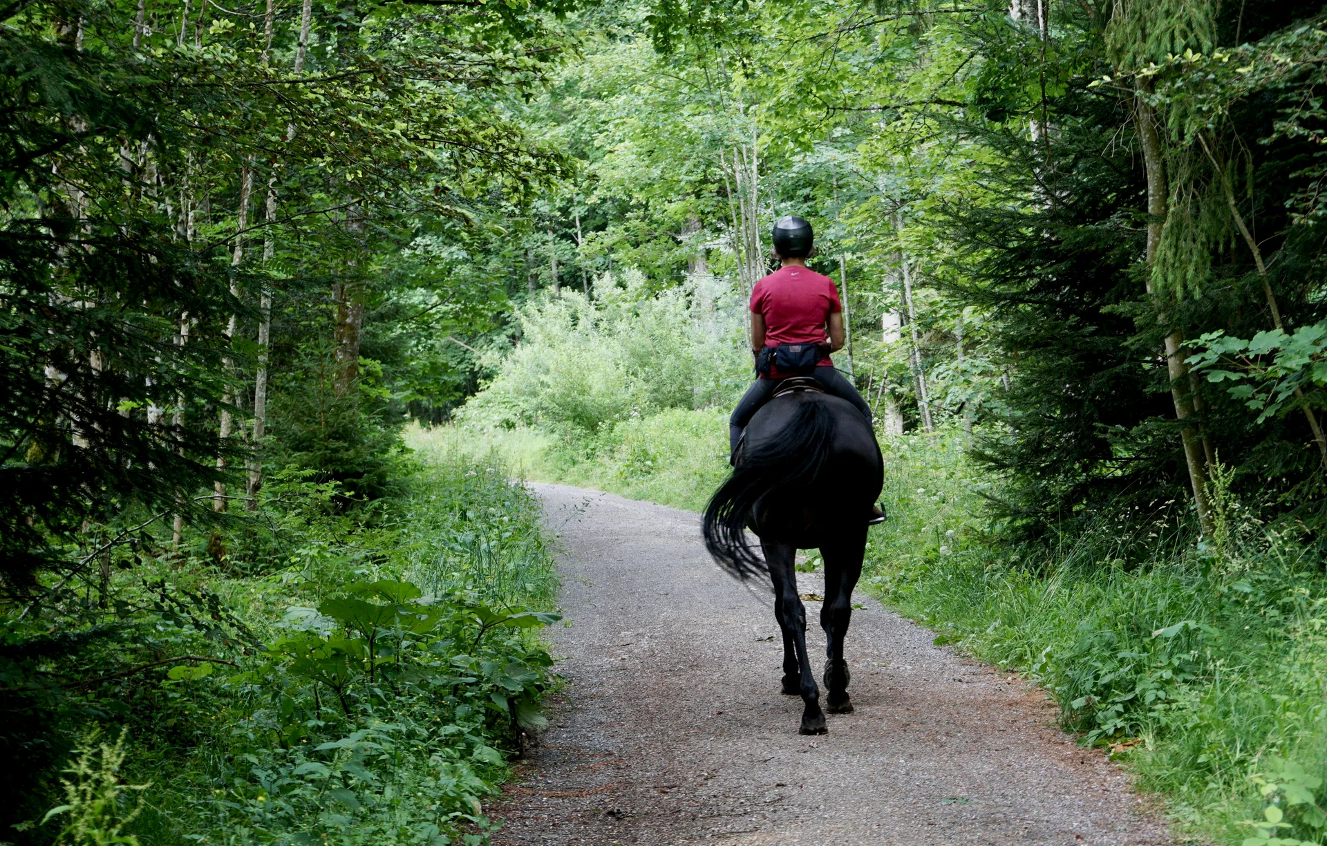 Reiter auf schwarzem Pferd reitet auf einem Waldweg