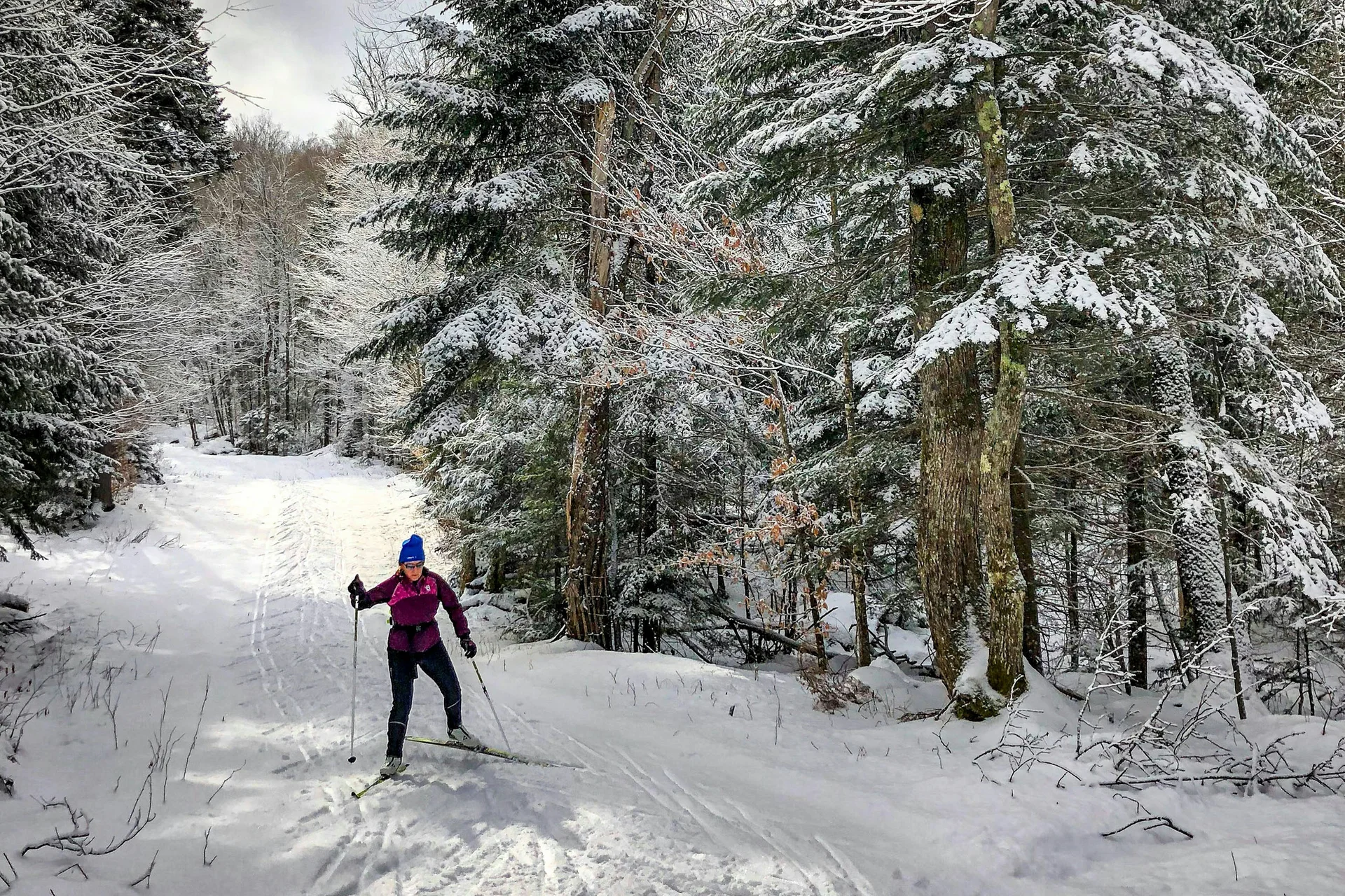 Person beim Langlaufen im verschneiten Wald unter bewölktem Himmel