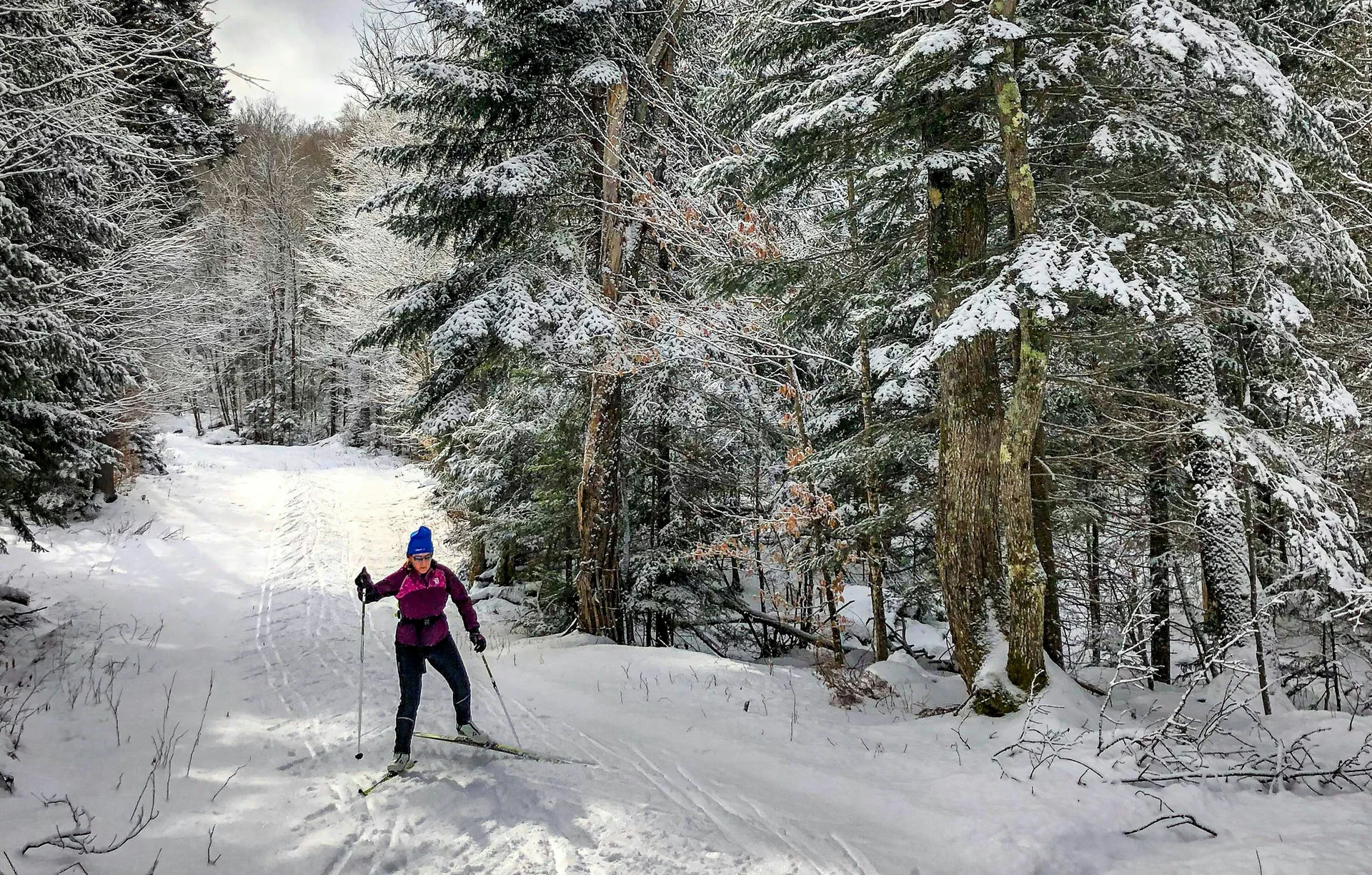 Person beim Langlaufen im verschneiten Wald unter bewölktem Himmel