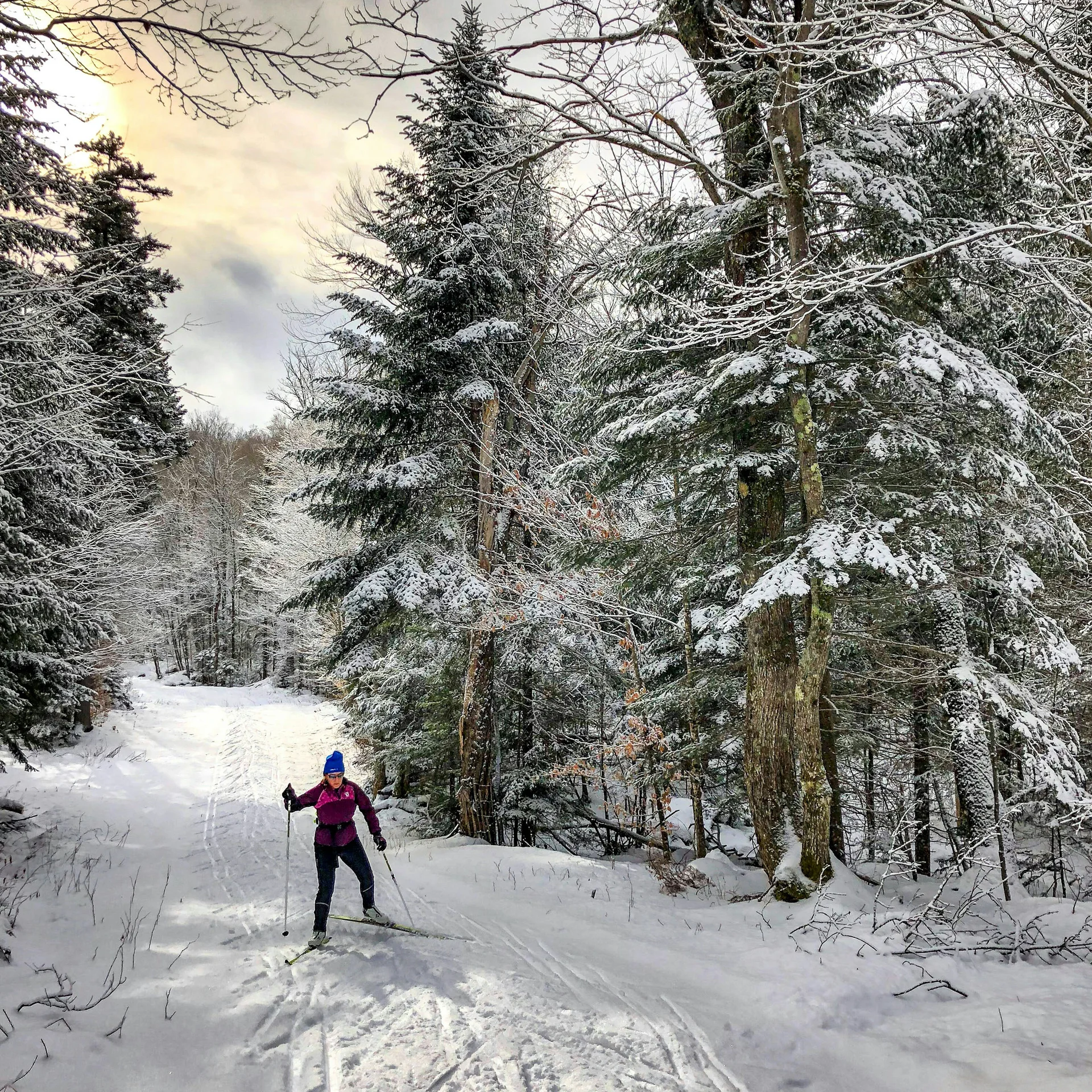 Person beim Langlaufen im verschneiten Wald unter bewölktem Himmel